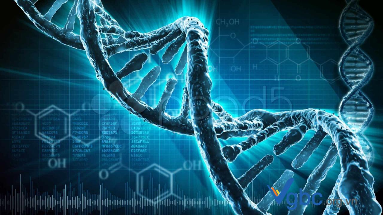 Adn Conection Tìm hiểu công thức ADN và cấu tạo của ADN như thế nào?